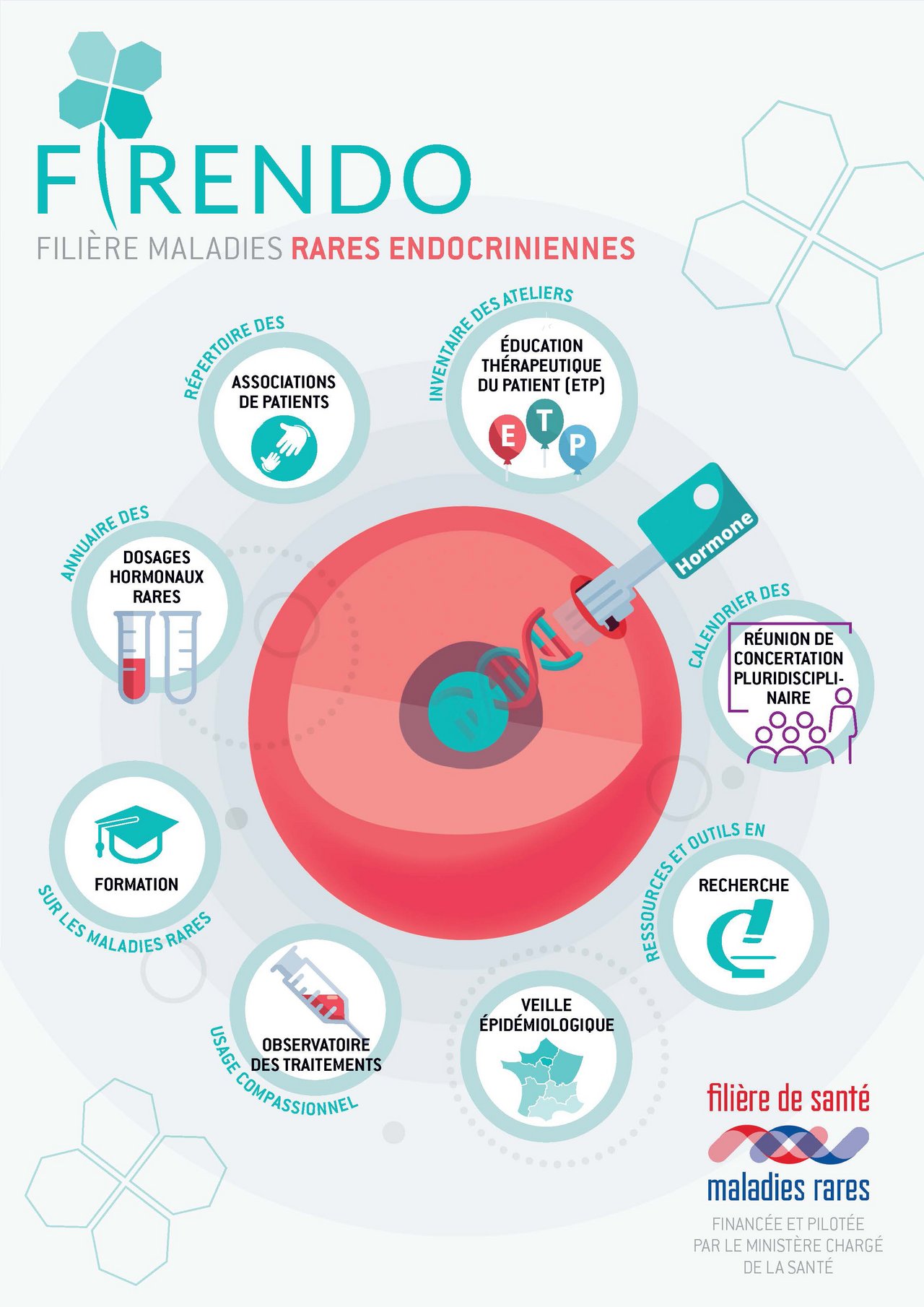 Plaquette Fili&egrave;re Maladies Rares Endocriniennes FIRENDO t&eacute;l&eacute;chargement