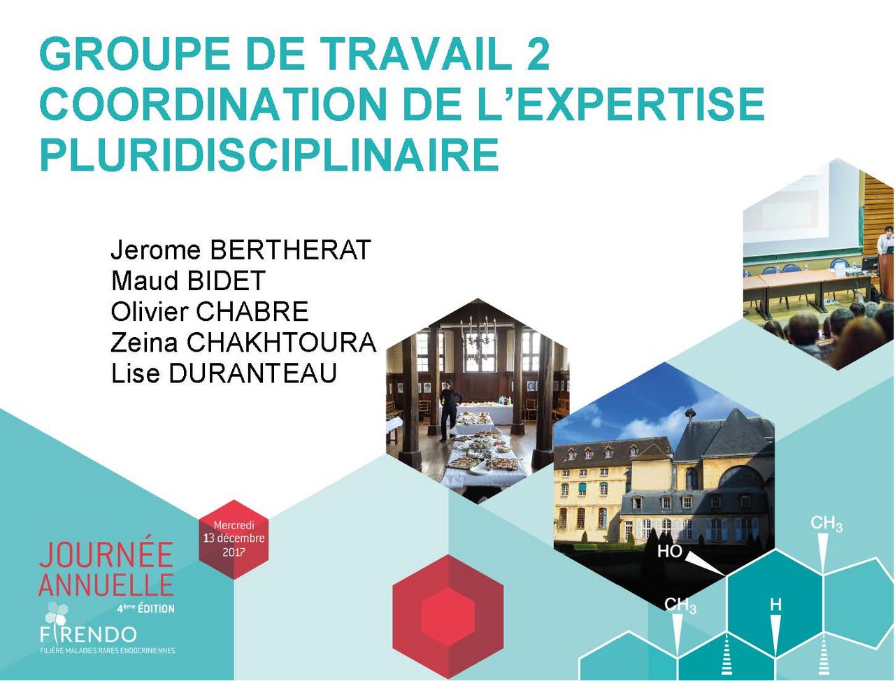 Lise Duranteau Olivier Chabre Journ&eacute;e Annuelle FIRENDO 2017 GT2 groupe de travail coordination expertise pluridisciplinaire