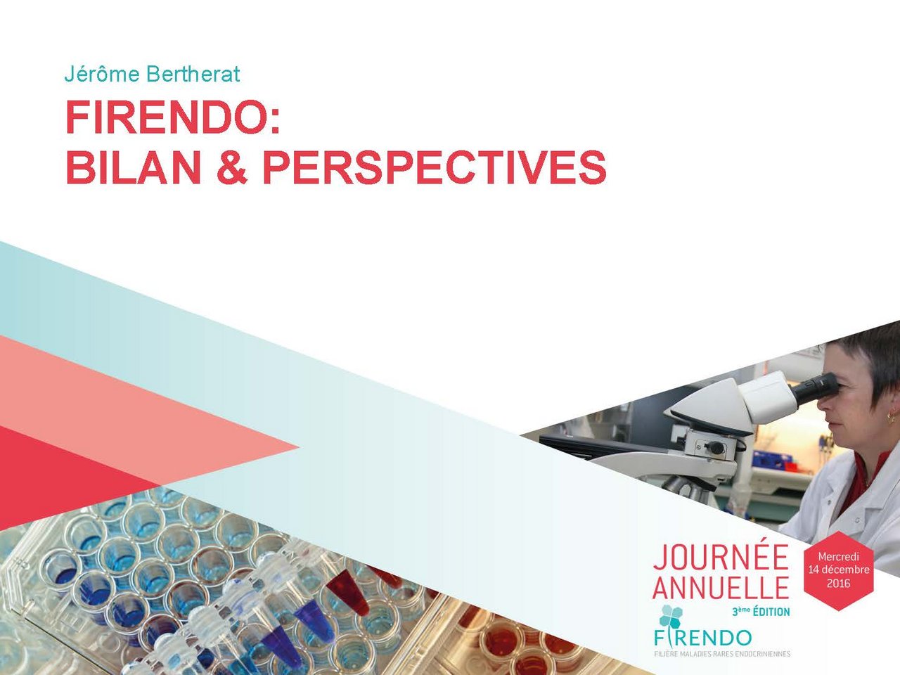J&eacute;r&ocirc;me Bertherat Bilan Perspectives de FIRENDO