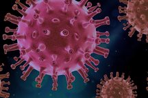 Image avec les particules de virus, contexte d'&eacute;pid&eacute;mie Covid-19