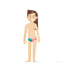 pictogramme corps humain