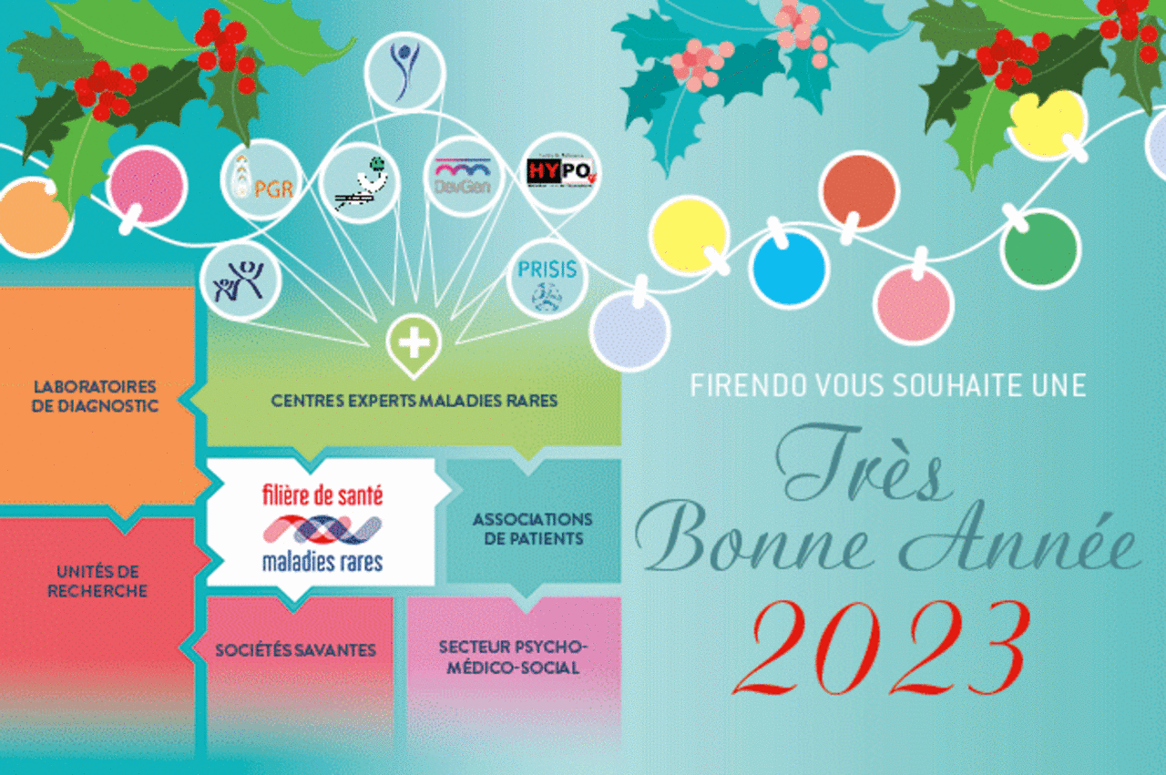 Animation GIF autour du message "Tr&egrave;s bonne ann&eacute;e 2023 vous souhaite FIRENDO, celle des 23 fili&egrave;res de sant&eacute; enti&egrave;rement d&eacute;di&eacute;e aux maladies rares endocriniennes !"