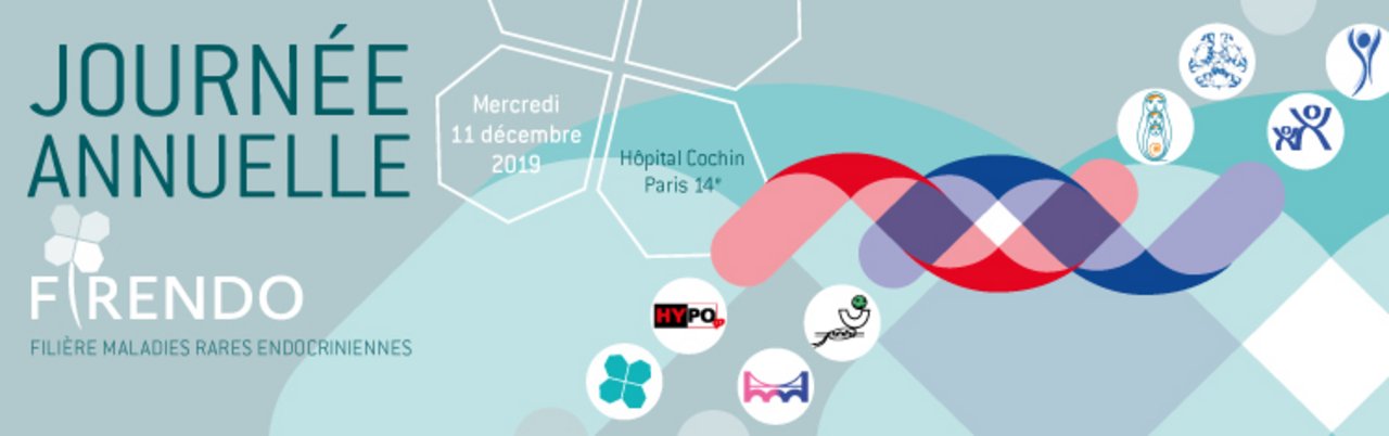 Visuel pour la Journ&eacute;e Annuelle FIRENDO 11-12-2019