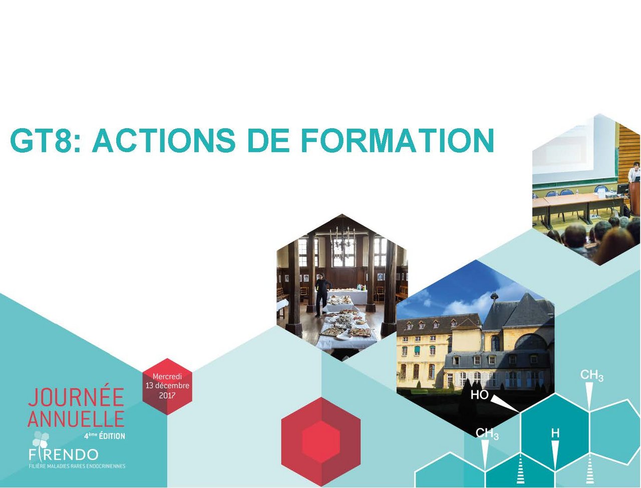 Patrice Rodien V&eacute;ronique Kerlan GT8 groupe de travail Actions formation en commun FIRENDO maladies rares Journ&eacute;e Annuelle 2017
