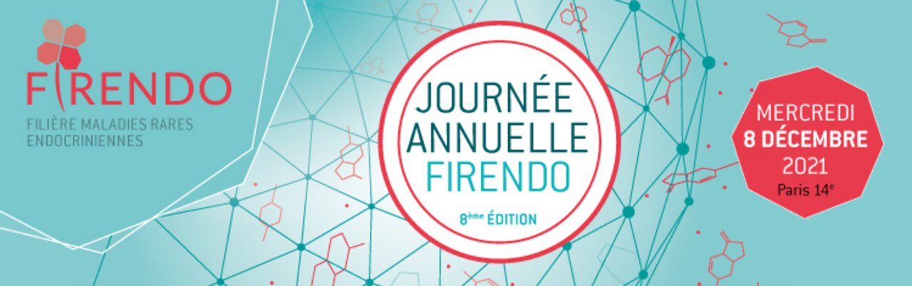 Visuel Journ&eacute;e Annuelle FIRENDO 2021