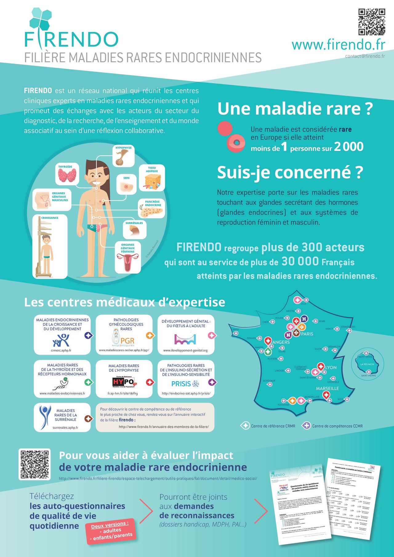 Affiche Fili&egrave;re Maladies Rares Endocriniennes FIRENDO t&eacute;l&eacute;chargement