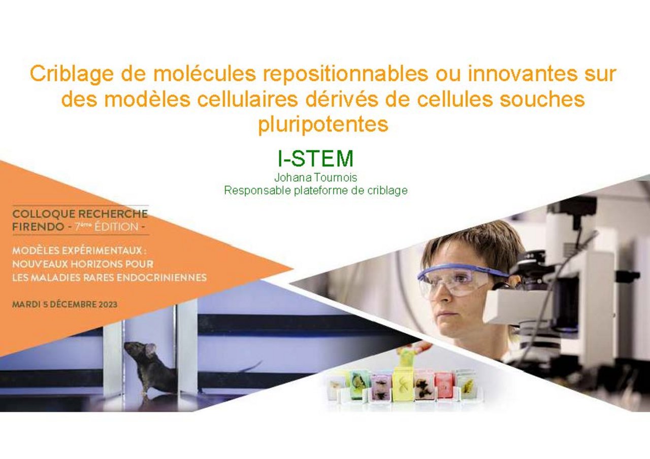 Visuel pr&eacute;sentation Johana Tournois