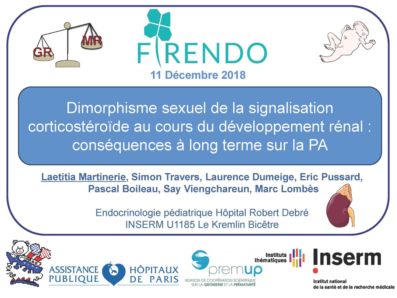 Visuel pour Laetitia Martinerie "Dimorphisme sexuel de la signalisation des corticost&eacute;ro&iuml;des au cours du d&eacute;veloppement r&eacute;nal "