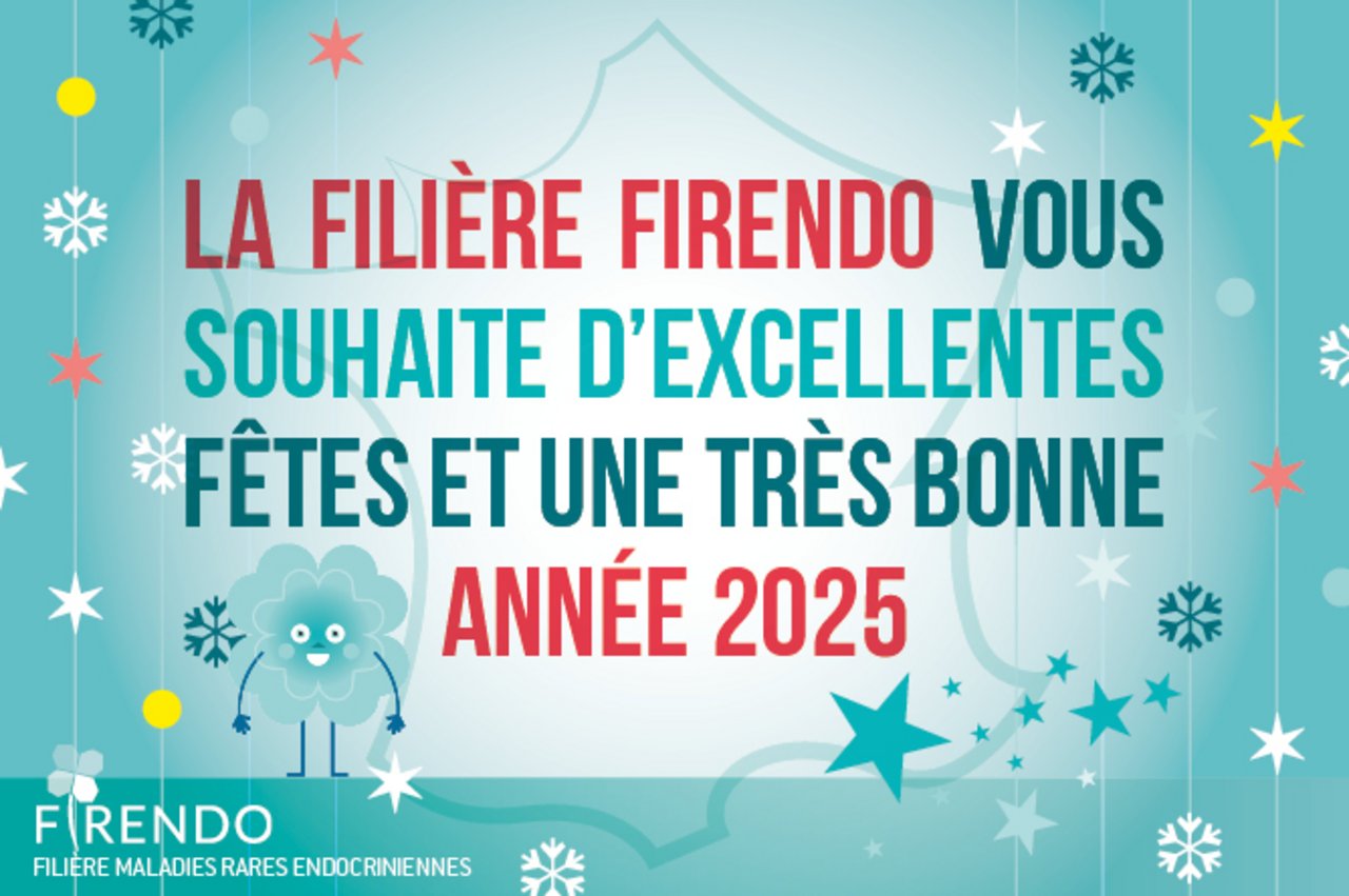 Animation GIF autour du message "&laquo; La fili&egrave;re maladies rares FIRENDO vous souhaite d&rsquo;excellentes f&ecirc;tes et une tr&egrave;s bonne ann&eacute;e 2025 &raquo;
