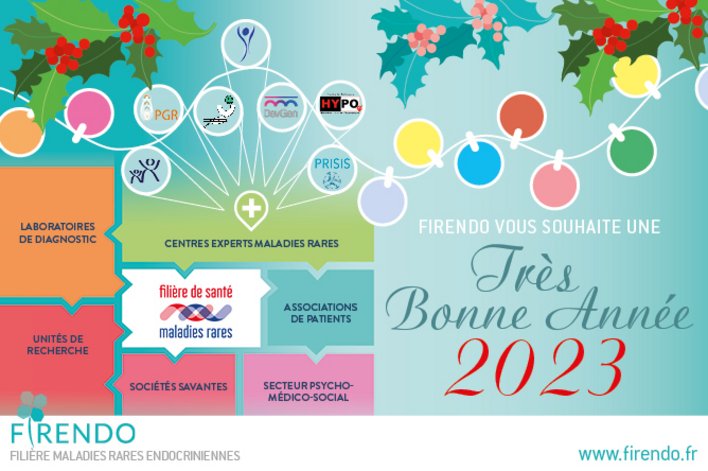 Visuel des voeux 2023 de la fili&egrave;re FIRENDO avec le message "Tr&egrave;s bonne ann&eacute;e 2023 vous souhaite FIRENDO, celle des 23 fili&egrave;res de sant&eacute; enti&egrave;rement d&eacute;di&eacute;e aux maladies rares endocriniennes !"