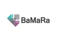 Logo de la Banque Nationale des Donn&eacute;es Maladies Rares BNDMR et sa base BaMaRa