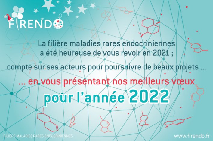 Visuel des voeux 2022 de la fili&egrave;re FIRENDO avec le message "La fili&egrave;re FIRENDO a &eacute;t&eacute; heureuse de vous revoir en 2021, compte sur ces acteurs pour poursuivre des beaux projets en vous pr&eacute;sentant nos meilleurs voeux pour l'ann&eacute;e 2022"