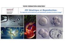 Viseul pour le Dipl&ocirc;me universitaire "G&eacute;n&eacute;tique et Reproduction" &agrave; l'Universit&eacute; Paris Saclay : cellules en fecondation, manpulation d'ADN, etc