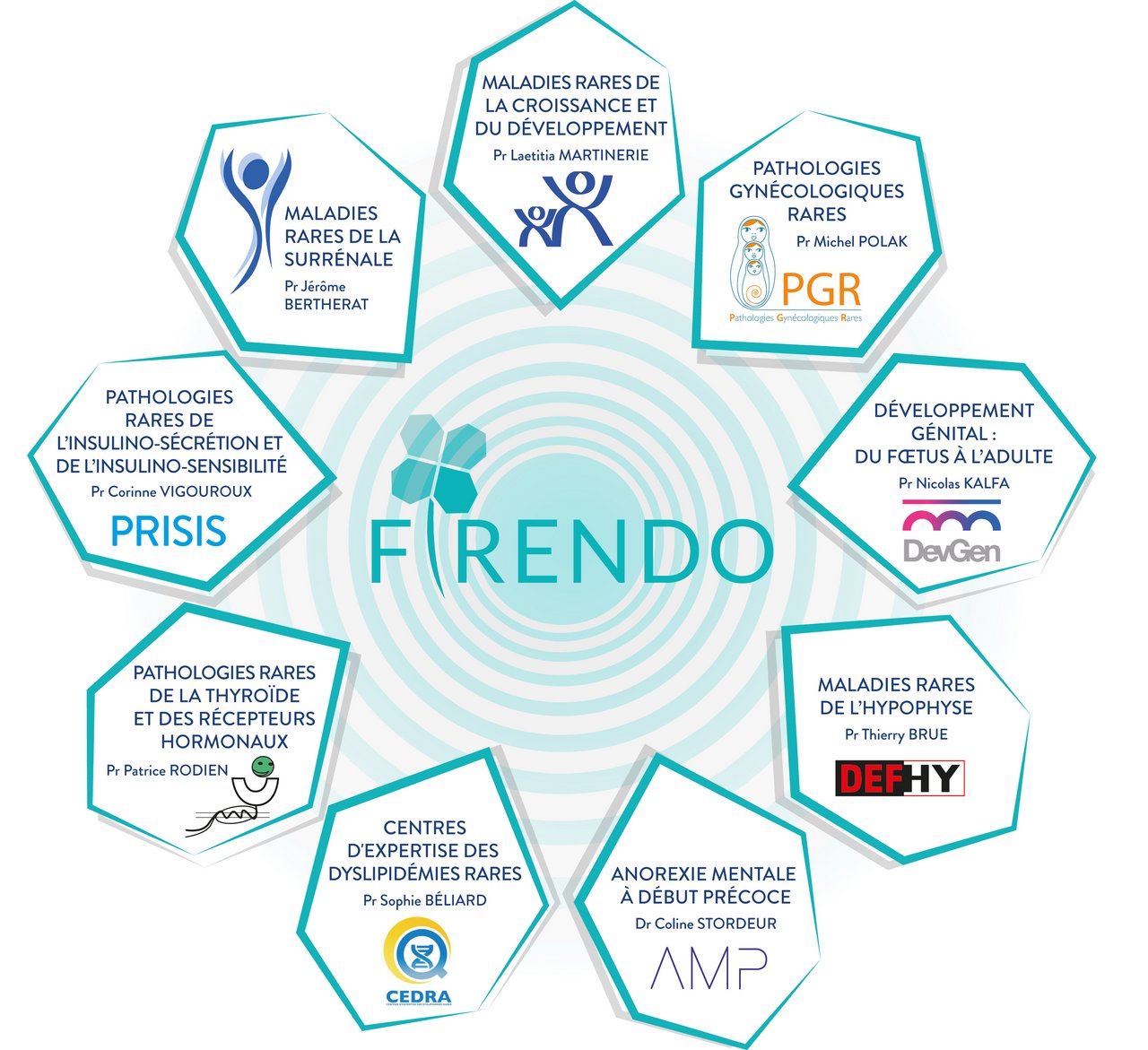 Visuel repr&eacute;sentant les 9 cat&eacute;gories des maladies rares endocriniennes au sein de FIRENDO