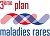 3e Plan maladies rares  ( 2018-2022 )